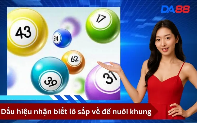 Dấu hiệu nhận biết lô sắp về để nuôi khung