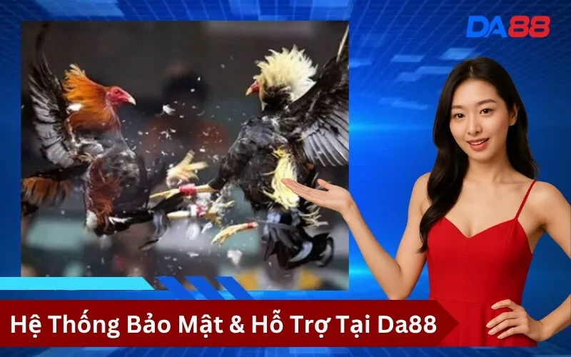 Hệ Thống Bảo Mật & Hỗ Trợ Tại Da88